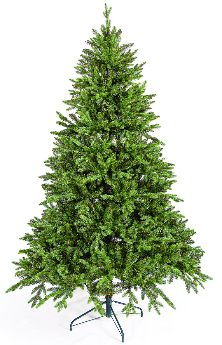 PRUNNUS 2,40m