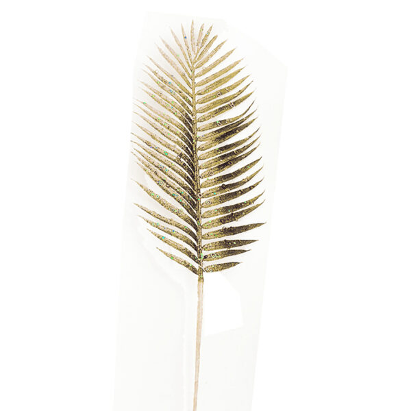 Κλαδί areca