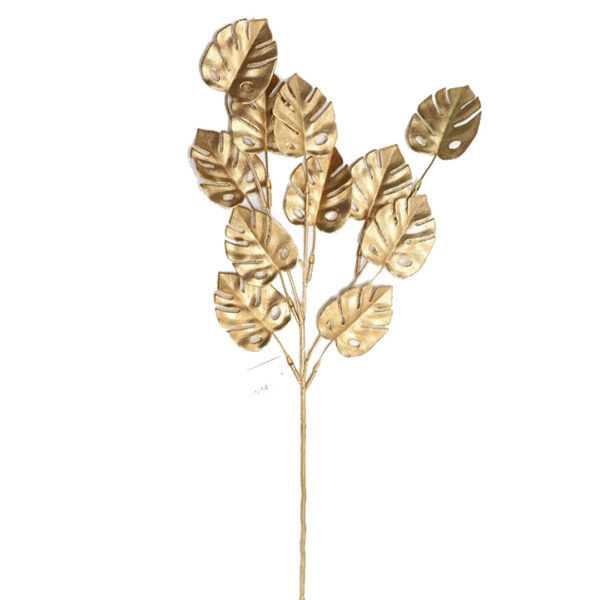 Φύλλα monstera