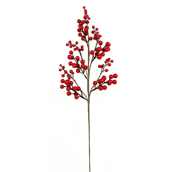 Κλαδί με κόκκινα berries