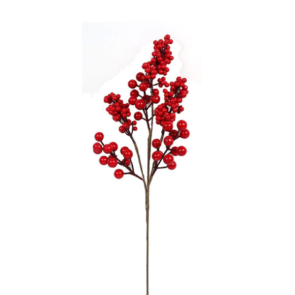 Κλαδί με κόκκινα berries