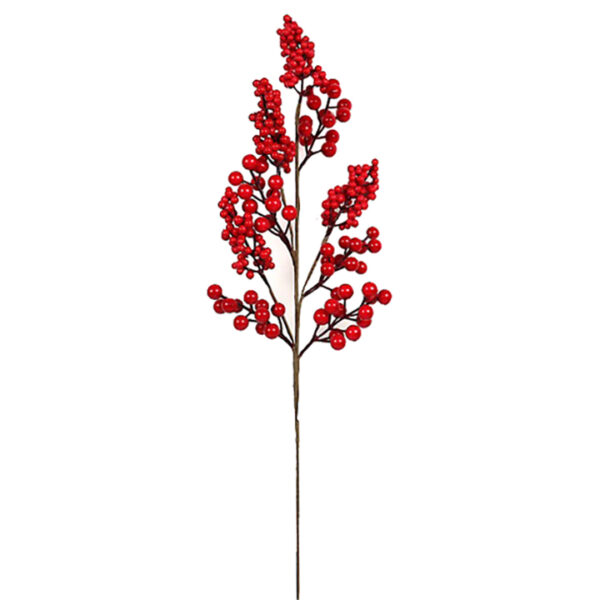 Κλαδί με κόκκινα berries
