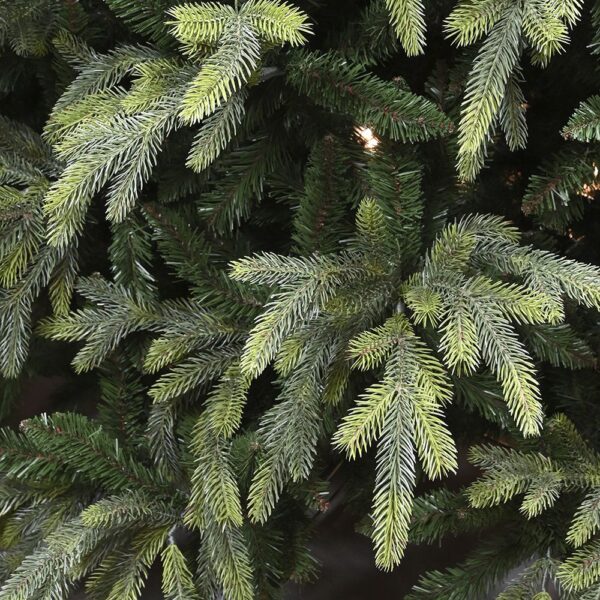 ΔΕΝΤΡΟ "FRASER FIR" 240ΕΚ