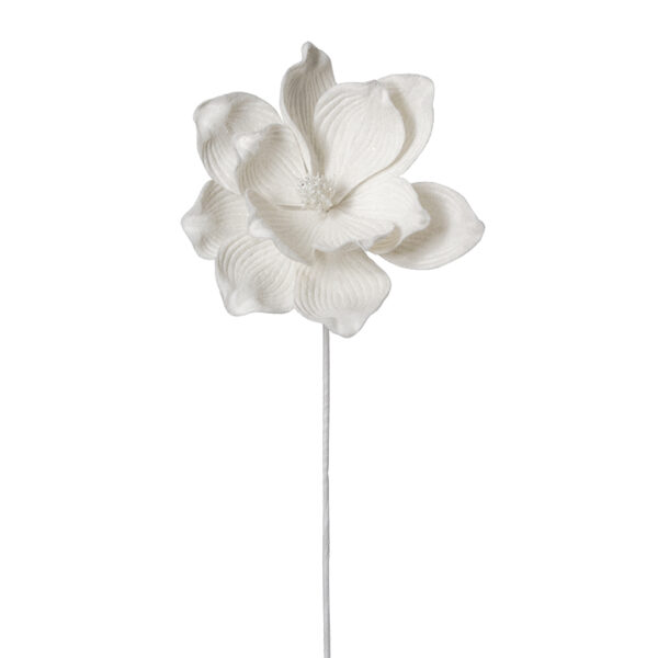 Forest Magnolia d.22cm Ivory